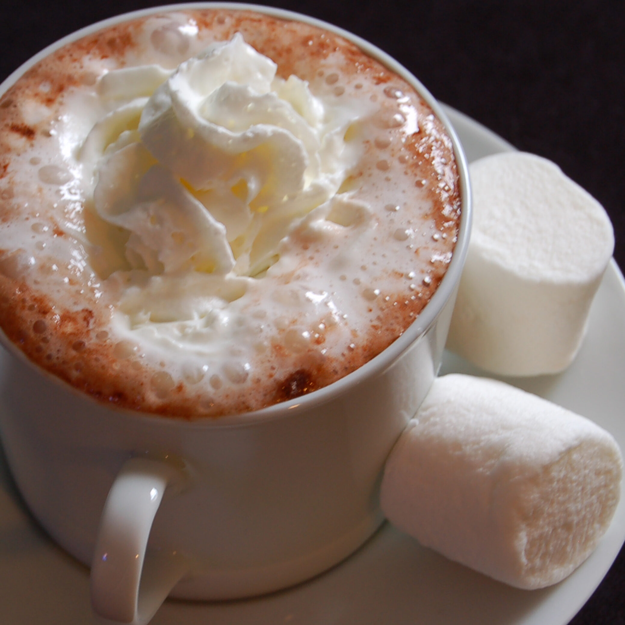 Cup of hot chocolate with marshmallows and whipped cream